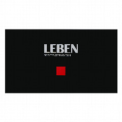 LEBEN Отпариватель ручной, 930Вт, 17гр/мин, объем 160мл