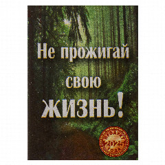 Спички бытовые, тм Борисовдрев, блок 10 коробков 7,5х6,5х5,1см, осина, картон, в ассортименте