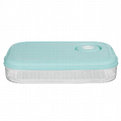 Контейнер для хранения и заморозки продуктов, пластик, 30x21x5,5см