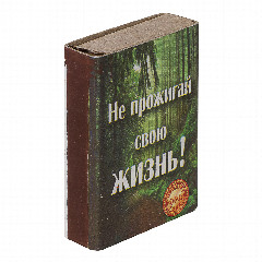 Спички бытовые, тм Борисовдрев, блок 10 коробков 7,5х6,5х5,1см, осина, картон, в ассортименте