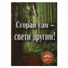 Спички бытовые, тм Борисовдрев, блок 10 коробков 7,5х6,5х5,1см, осина, картон, в ассортименте