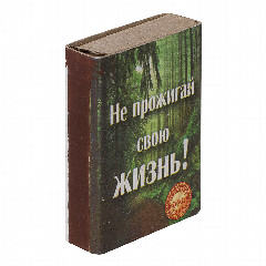 Спички бытовые, тм Борисовдрев, блок 10 коробков 7,5х6,5х5,1см, осина, картон, в ассортименте