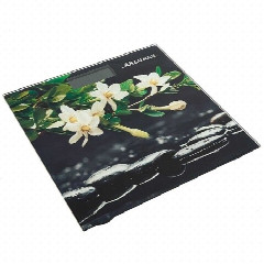 Весы напольные АКСИНЬЯ КС-6006А
